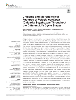 Cnidome and Morphological Features of Pelagia Noctiluca (Cnidaria: Scyphozoa) Throughout the Different Life Cycle Stages