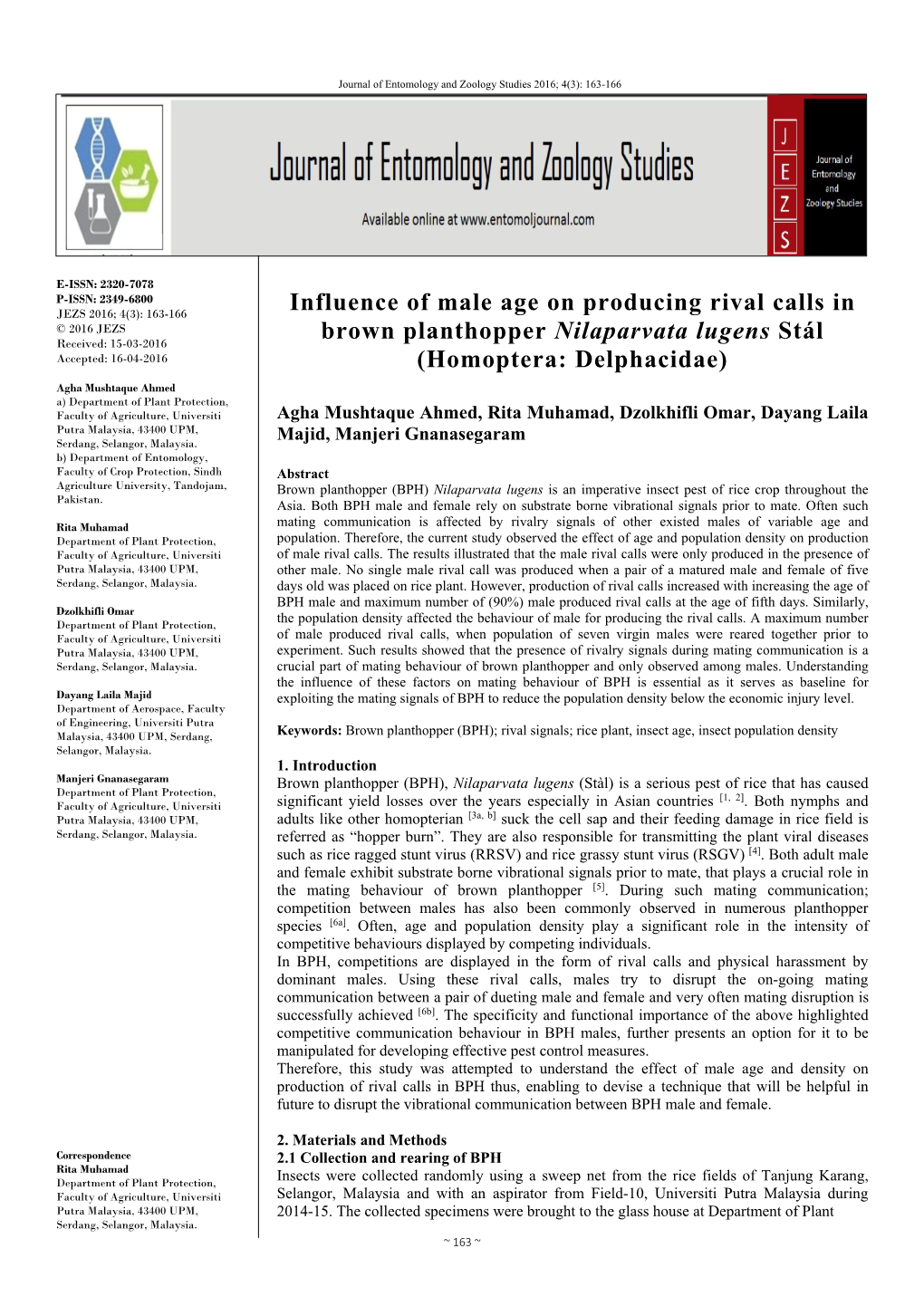 Influence of Male Age on Producing Rival Calls in Brown Planthopper
