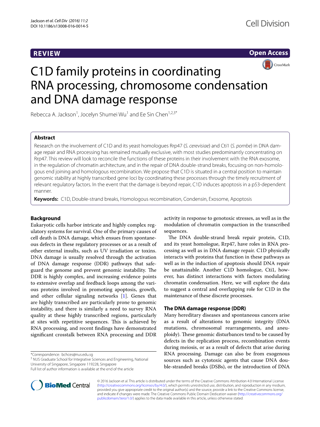 C1D Family Proteins in Coordinating RNA Processing, Chromosome Condensation and DNA Damage Response Rebecca A