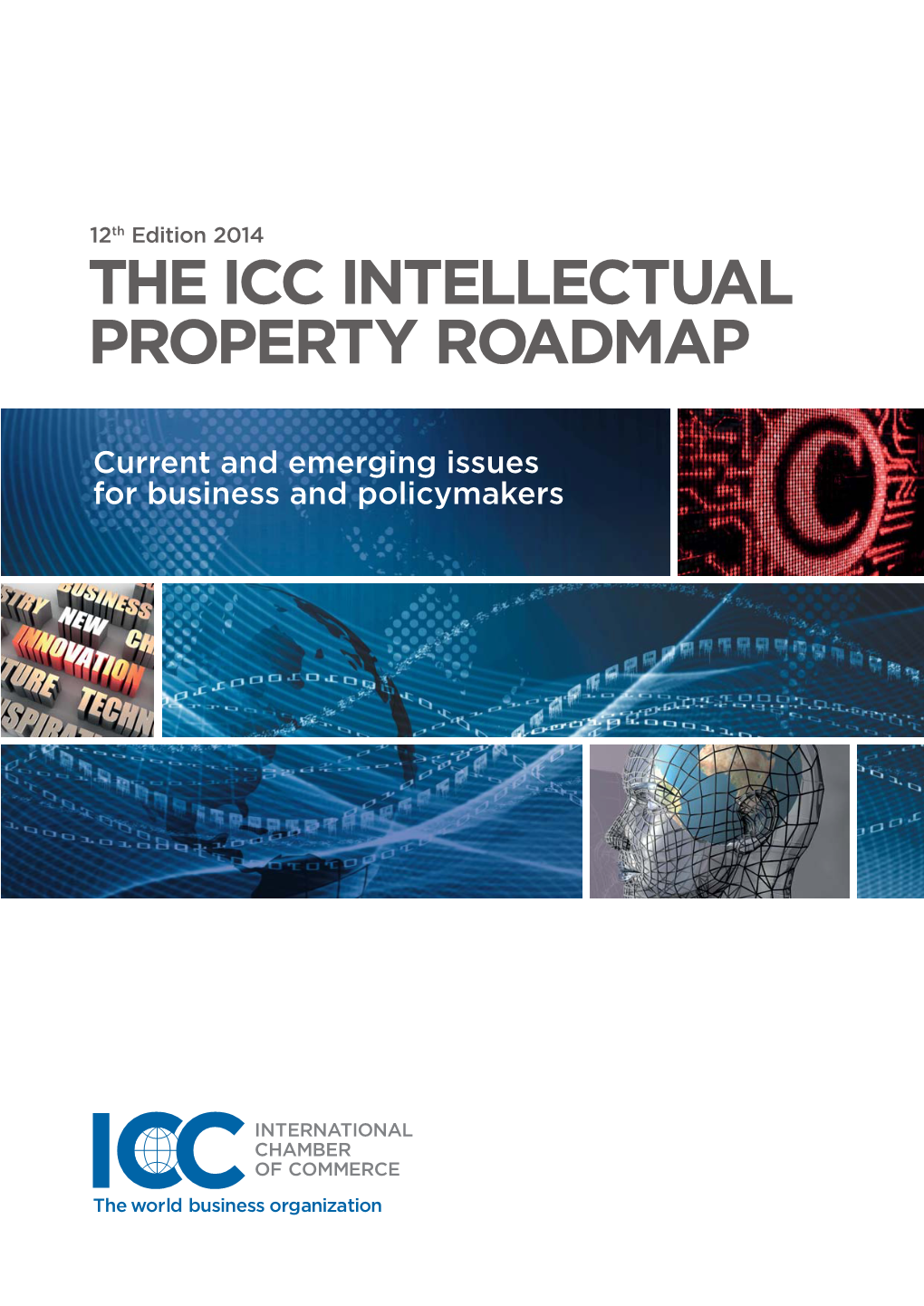The Icc Intellectual Property Roadmap