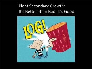 Plant Secondary Growth: It’S Better Than Bad, It’S Good! Whaddya’ Know?