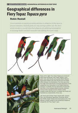 Geographical Differences in Fiery Topaz Geographical Differences in Fiery Topaz Topaza Pyra Robin Restall