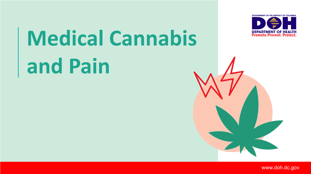 Medical Cannabis and Pain