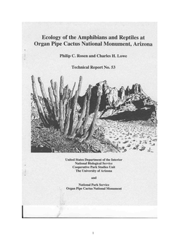 Ecology of the Amphibians and Reptiles at Organ Pipe Cactus National Monument, Arizona