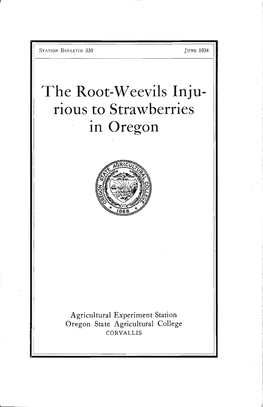 The Root-Weevils Inju- Rious to Strawberries in Oregon