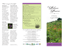Palouse Prairie Plants Brochure