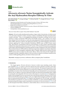 Alternaria Alternata Toxins Synergistically Activate the Aryl Hydrocarbon Receptor Pathway in Vitro