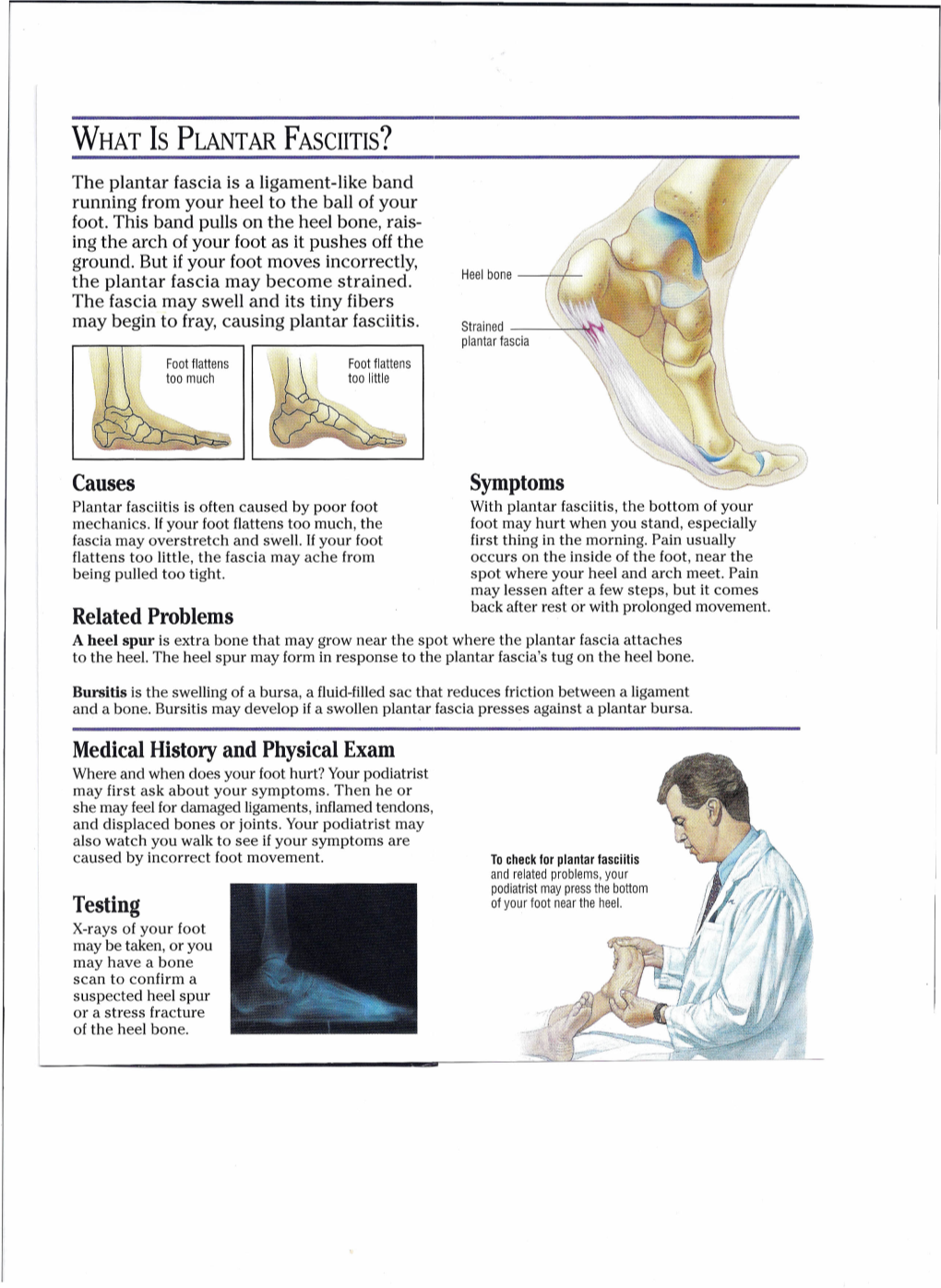 WHAT Is PLANTAR FASCIITIS? the Plantar Fascia Is a Ligament-Like Band ...