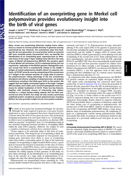 Identification of an Overprinting Gene in Merkel Cell Polyomavirus Provides Evolutionary Insight Into the Birth of Viral Genes