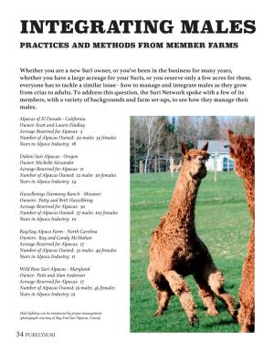 INTEGRATING MALES INTO YOUR HERD PRACTICES and METHODS from MEMBER FARMS Compiled by Liz Vahlkamp