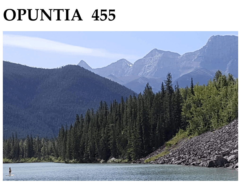 OPUNTIA 455 Middle September 2019 ROCKY MOUNTAIN WAY: GAP LAKE and GROTTO MOUNTAIN Photos by Dale Speirs Opuntia Is Published by Dale Speirs, Calgary, Alberta