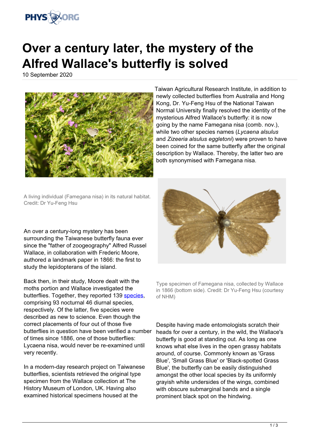 Over a Century Later, the Mystery of the Alfred Wallace's Butterfly Is Solved 10 September 2020