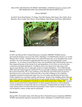 RELATIVE ABUNDANCE of SPINEY SOFTSHELL TURTLES (Apalone Spinifera) on the MISSOURI and YELLOWSTONE RIVERS in MONTANA FINAL REPOR