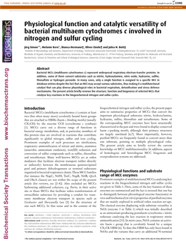 Physiological Function and Catalytic Versatility of Bacterial Multihaem Cytochromes C Involved in Nitrogen and Sulfur Cycling