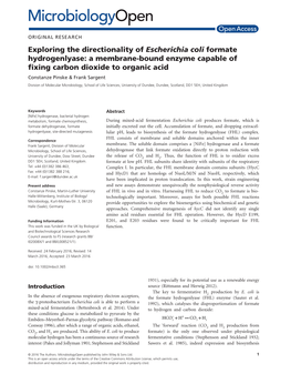 Exploring the Directionality of Escherichia Coli