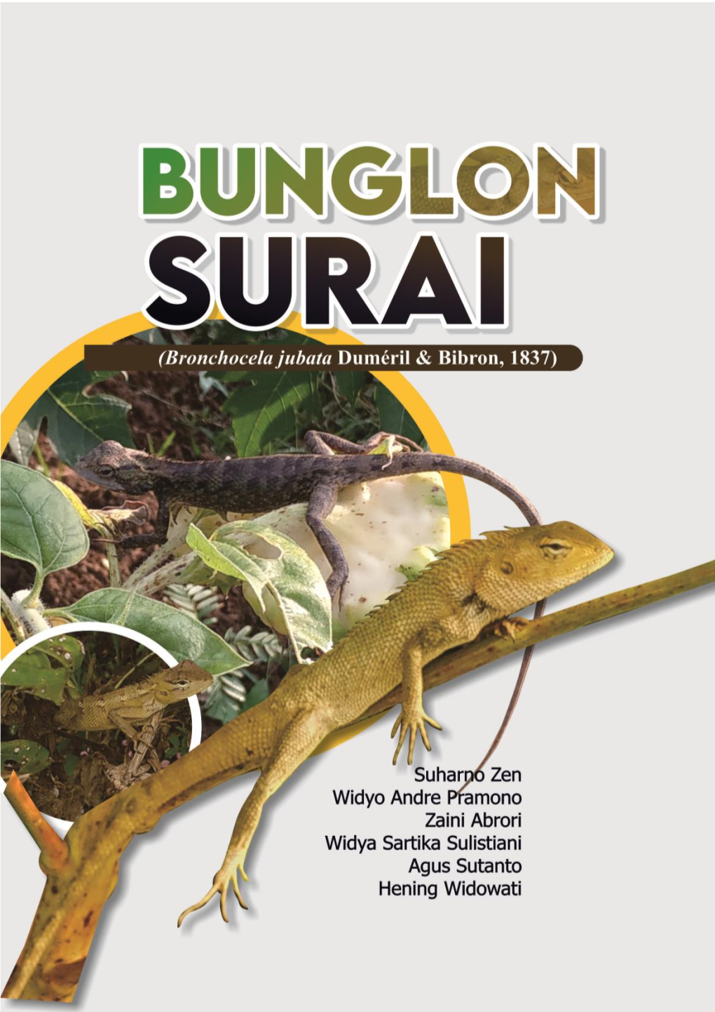 “Bunglon Surai”. Ii