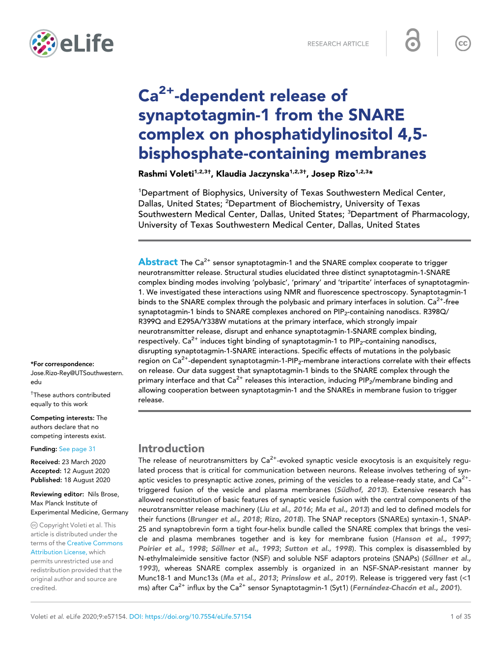 Dependent Release of Synaptotagmin-1 from The