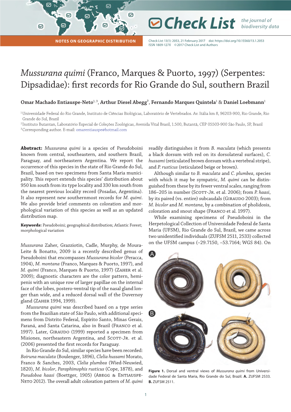 Mussurana Quimi (Franco, Marques & Puorto, 1997)(Serpentes