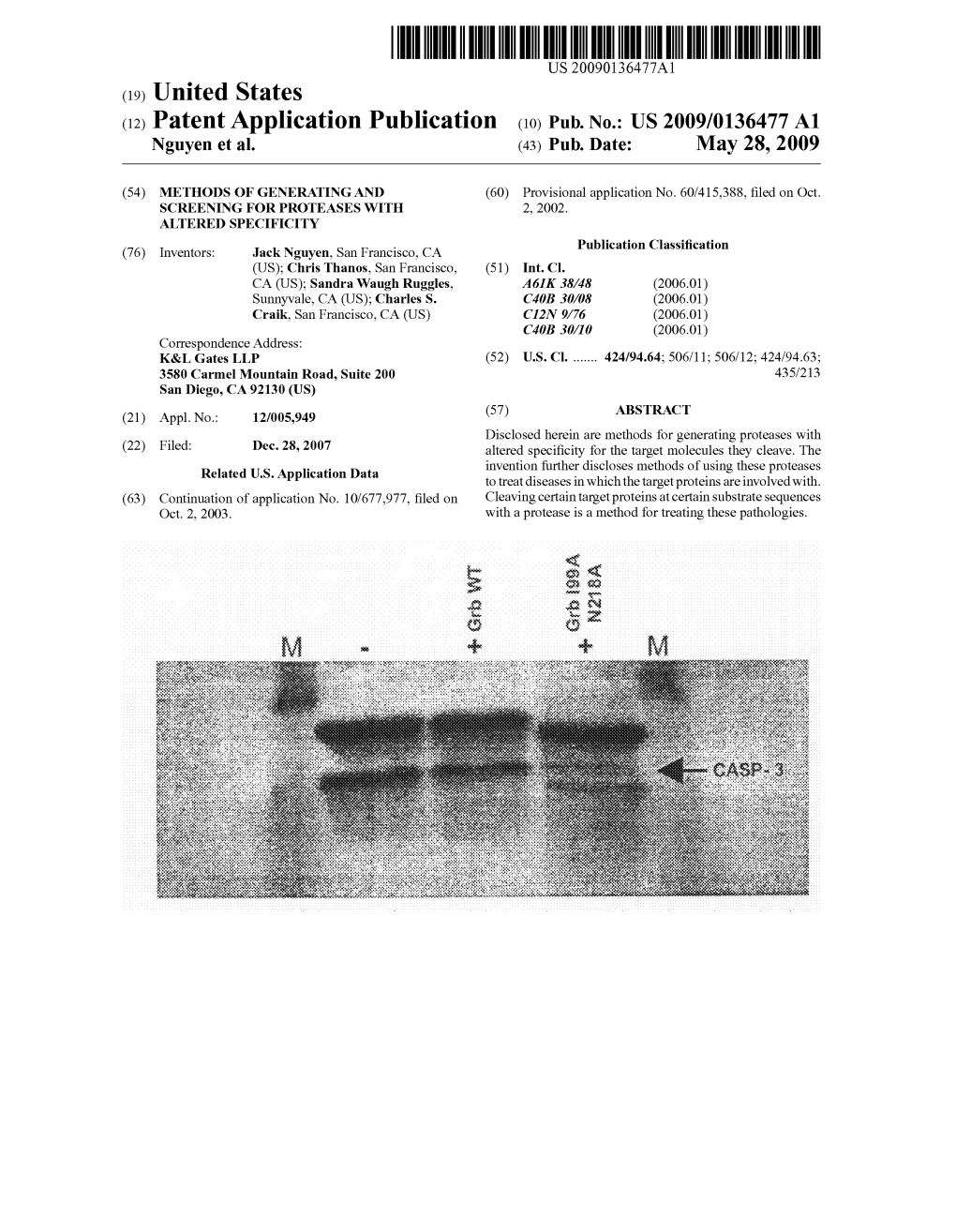 US 2009/0136477 A1 Nguyen Et Al