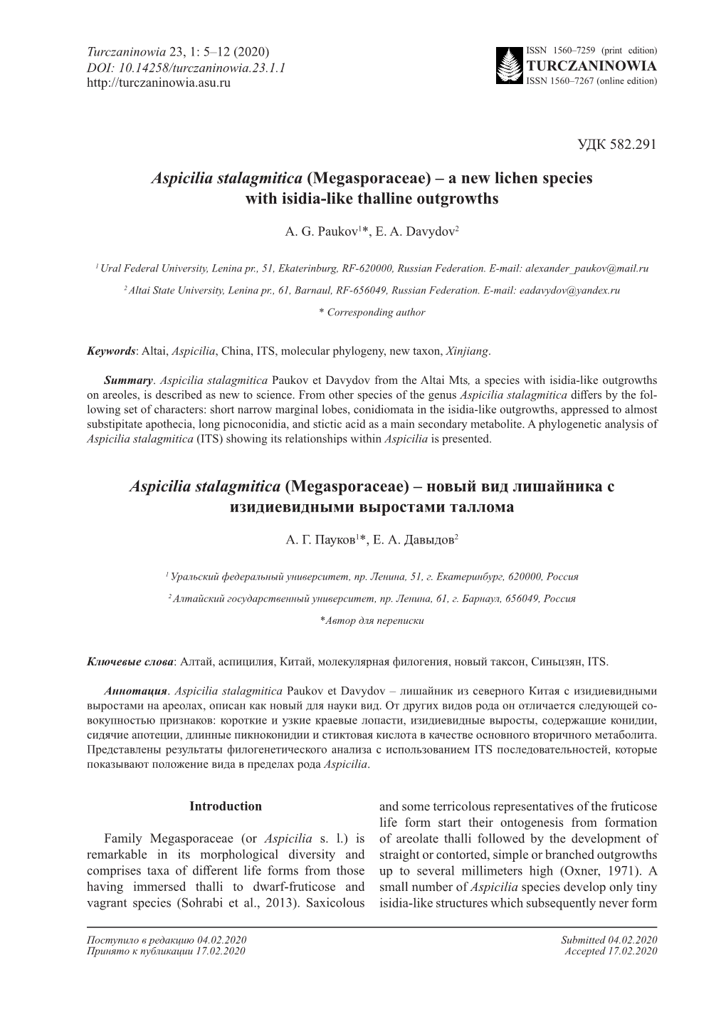 Aspicilia Stalagmitica (Megasporaceae) – a New Lichen Species with Isidia-Like Thalline Outgrowths