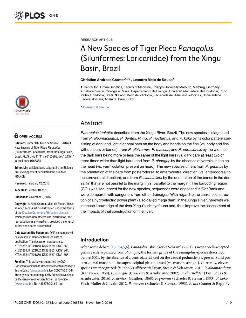 A New Species of Tiger Pleco Panaqolus (Siluriformes: Loricariidae) from the Xingu Basin, Brazil