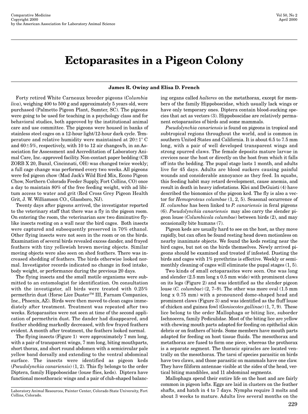 Ectoparasites in a Pigeon Colony