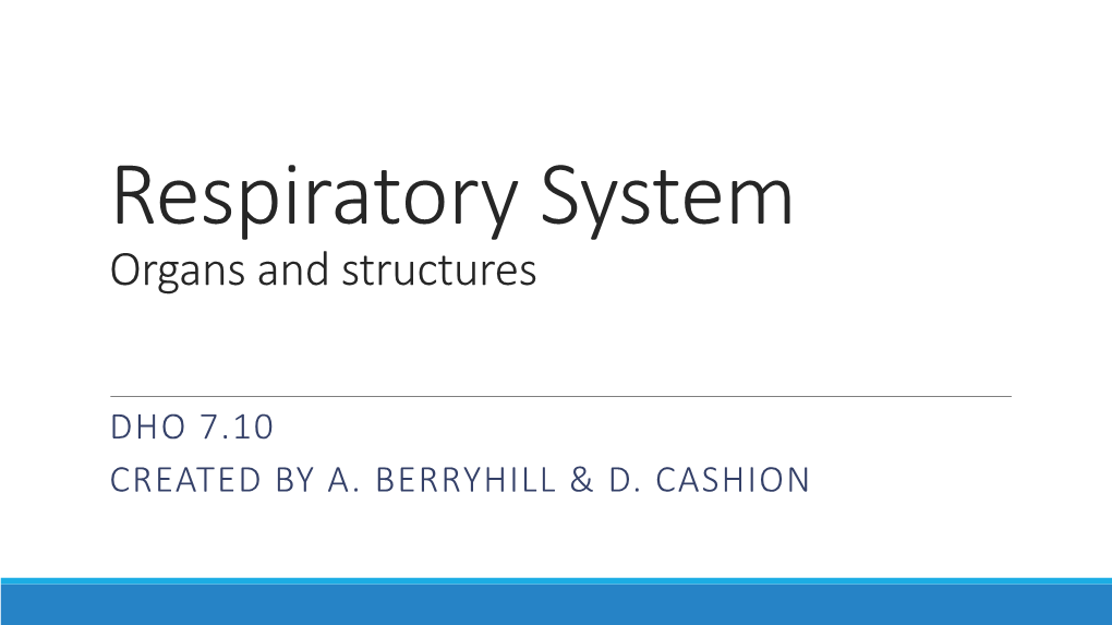 Respiratory System Organs and Structures