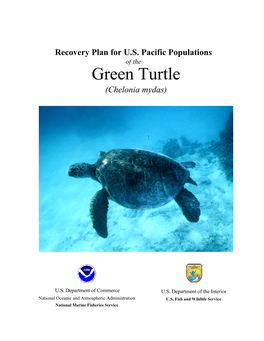 Recovery Plan for the US Populations of the Green Turtle