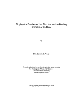 Biophysical Studies of the First Nucleotide Binding Domain of SUR2A
