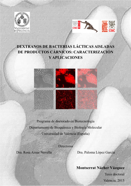 Dextranos De Bacterias Lácticas Aisladas De Productos Cárnicos: Caracterización Y Aplicaciones