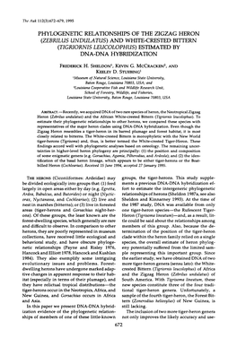 Phylogenetic Relationships of the Zigzag Heron (Zebrilus Undulatus) and White-Crested Bittern (Tigriornis Leucolophus) Estimated by Dna-Dna Hybridization