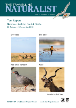 Skeleton Coast & Etosha October 2018 Tour Report