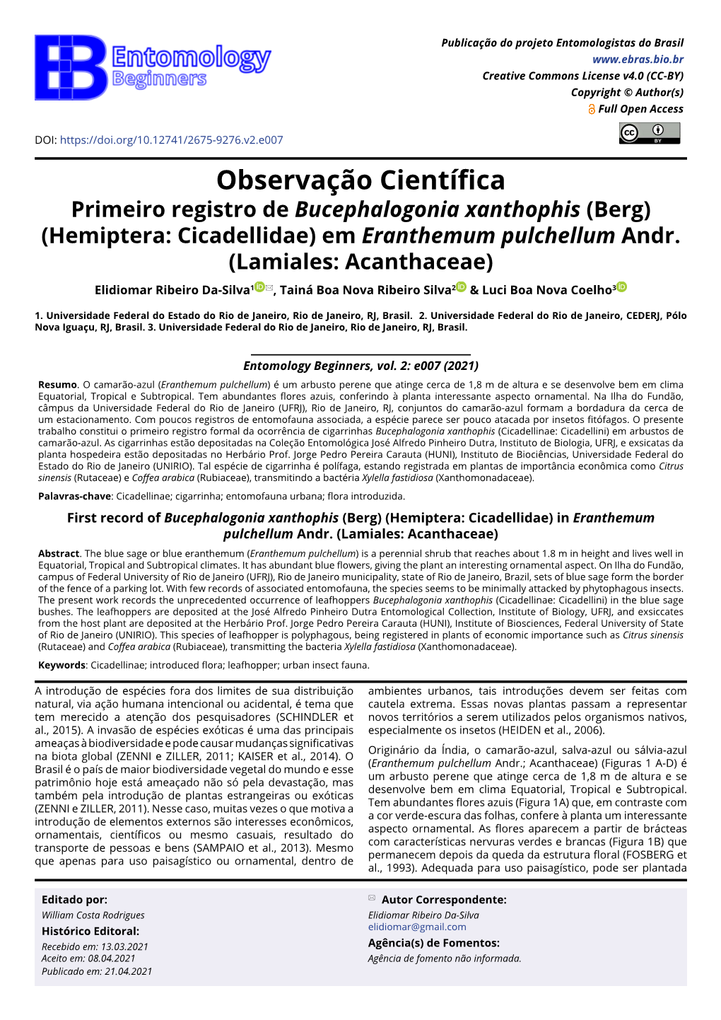 Primeiro Registro De Bucephalogonia Xanthophis (Berg) (Hemiptera: Cicadellidae) Em Eranthemum Pulchellum Andr. (Lamiales: Acanth