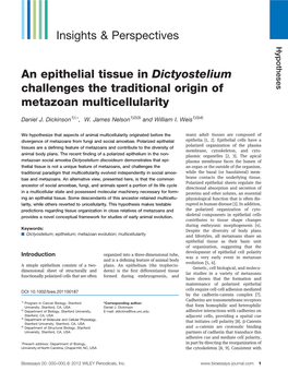 An Epithelial Tissue in Dictyostelium Challenges the Traditional Origin of Metazoan Multicellularity