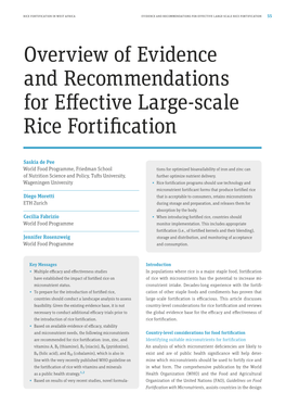 Overview of Evidence and Recommendations for Effective Large-Scale Rice Fortification