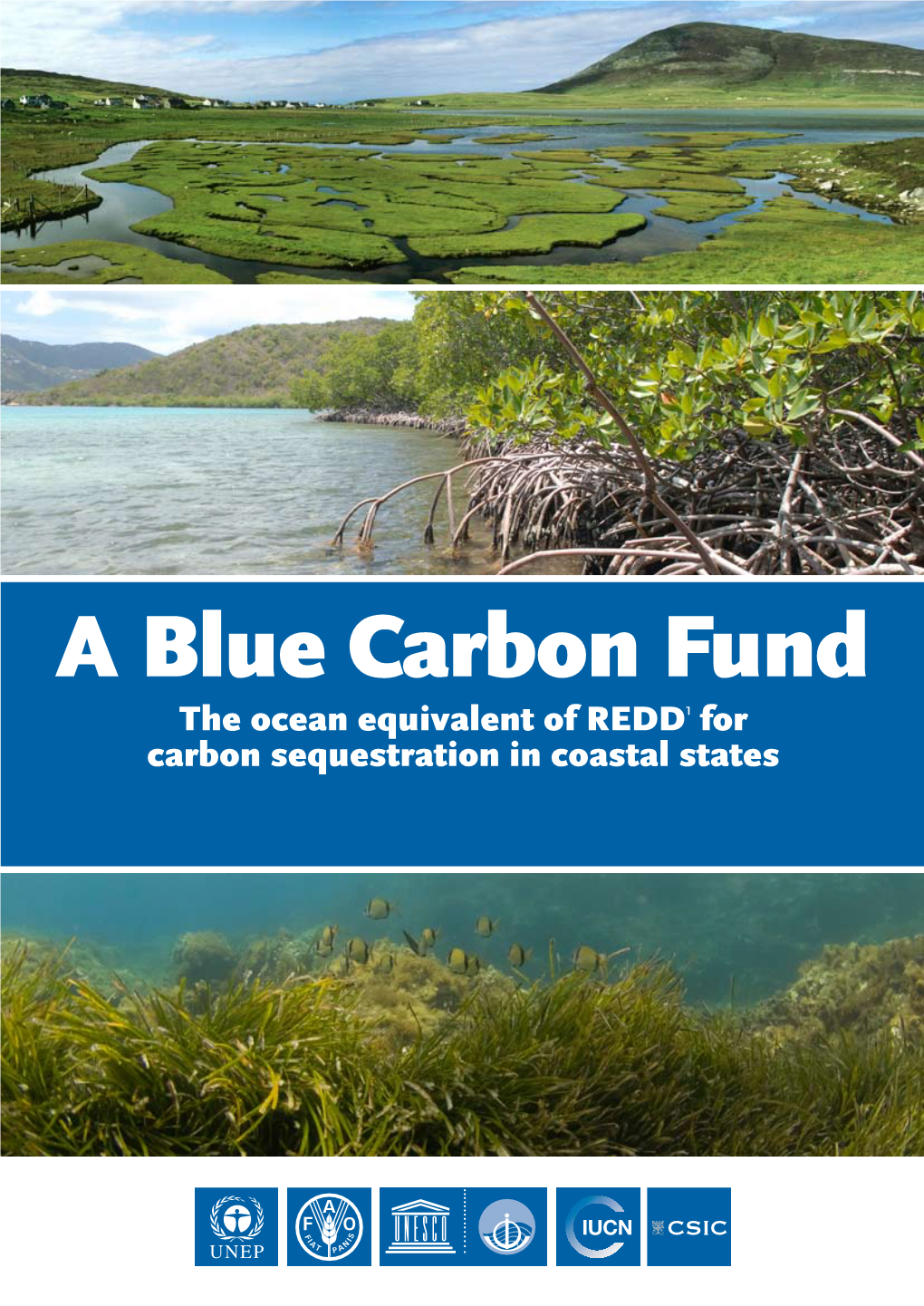 A Blue Carbon Fund