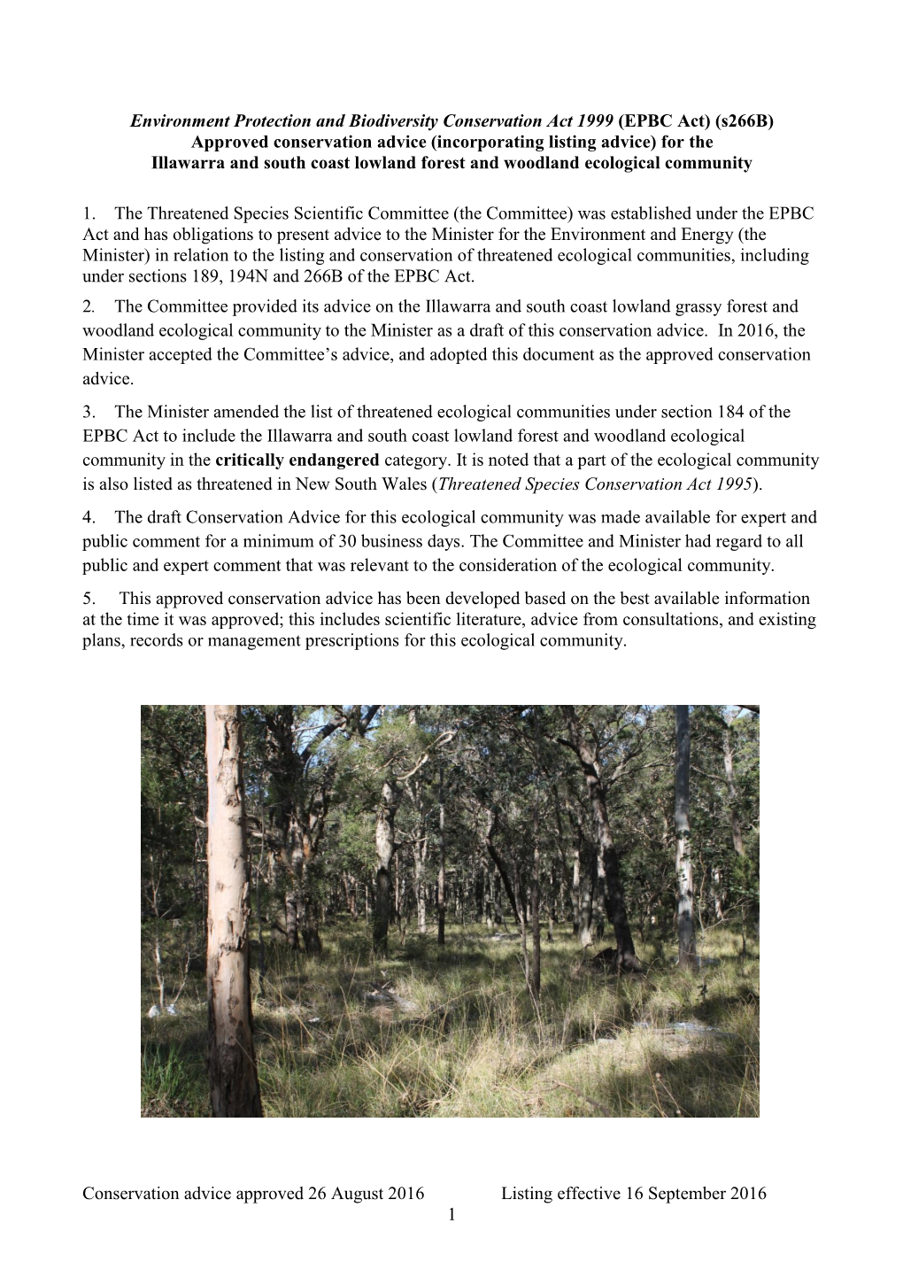 Approved Conservation Advice (Incorporating Listing Advice) for the Illawarra and South Coast Lowland Forest and Woodland Ecological Community