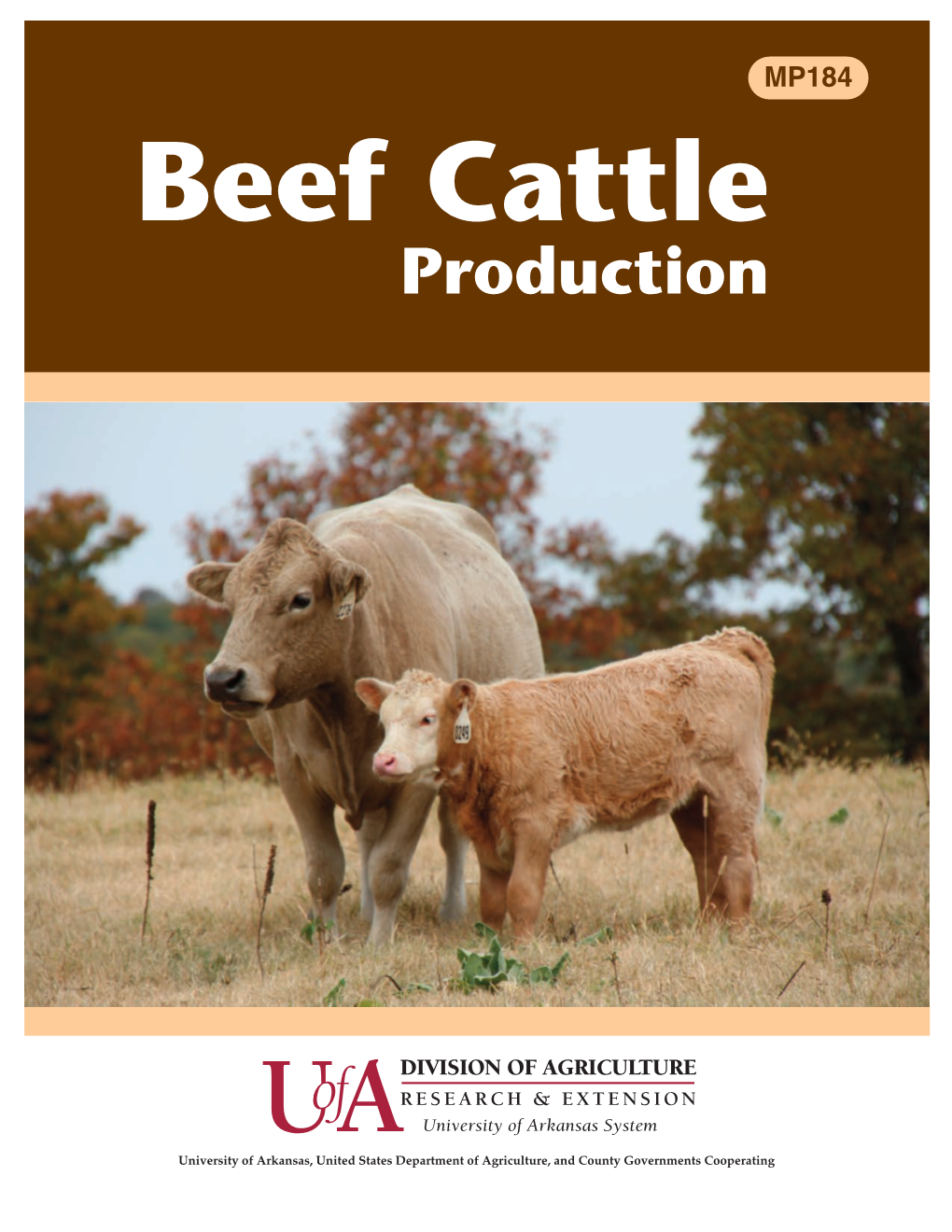 Beef Cattle Production