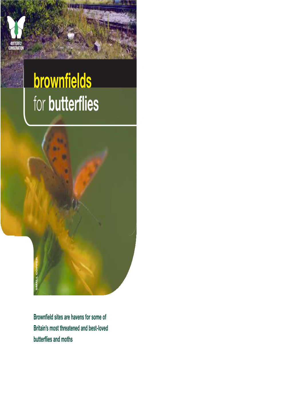 Brownfields for Butterflies COPPER SMALL