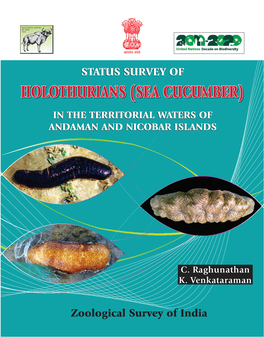 Sea Cucumber) in the Territorial Waters of Andaman and Nicobar Islands