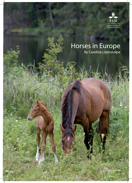 Horses in Europe by Carolina Liljenstolpe