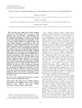 Evolution of Developmental Programs in Volvox (Chlorophyta)1