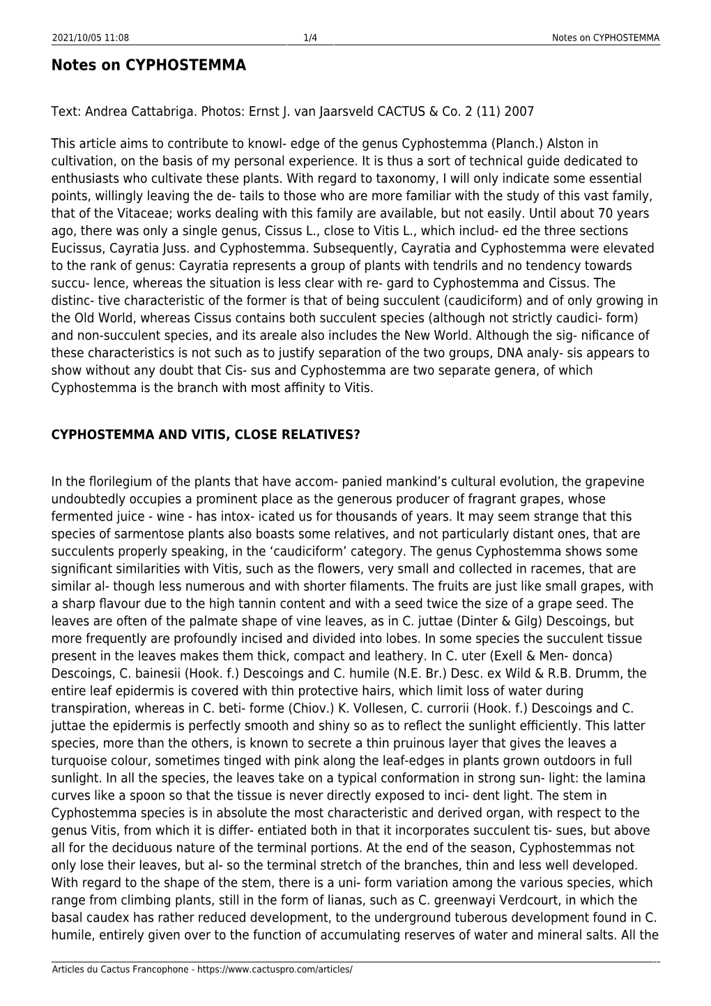 Notes on CYPHOSTEMMA Notes on CYPHOSTEMMA