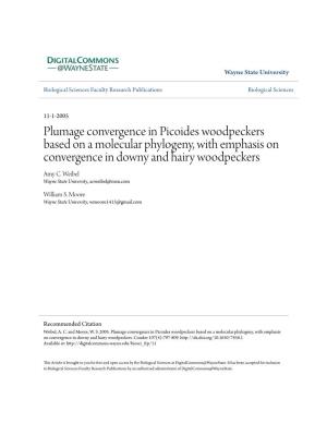 Plumage Convergence in Picoides Woodpeckers Based on a Molecular Phylogeny, with Emphasis on Convergence in Downy and Hairy Woodpeckers Amy C