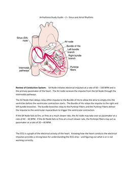 Arrhythmia Study Guide – 2 – Sinus and Atrial Rhythms