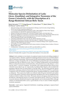 Molecular Species Delimitation of Larks