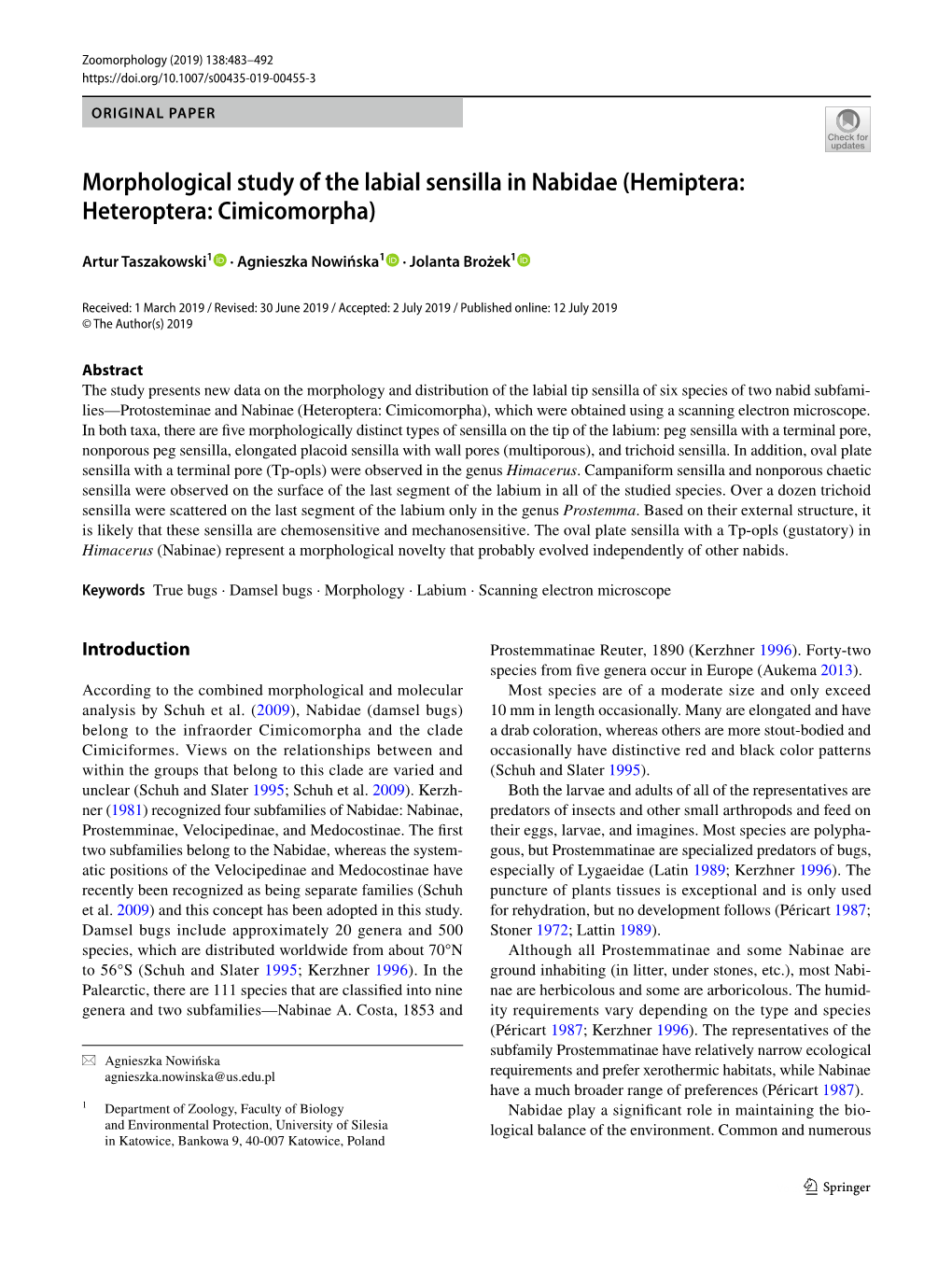 Morphological Study of the Labial Sensilla in Nabidae (Hemiptera: Heteroptera: Cimicomorpha)