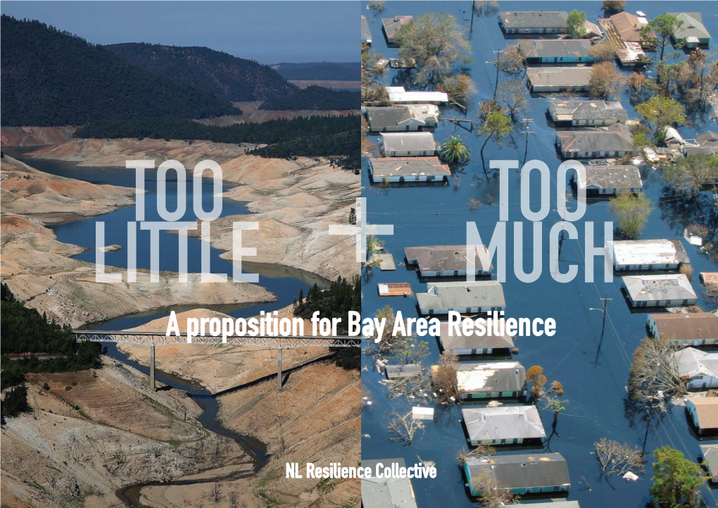 A Proposition for Bay Area Resilience