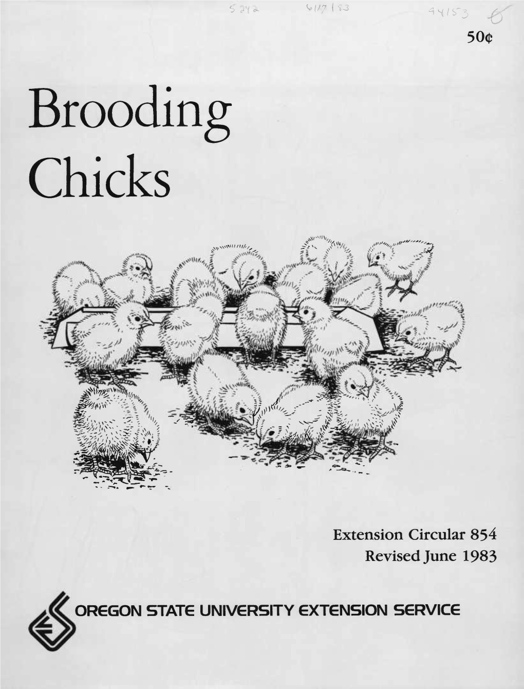 Brooding Chicks