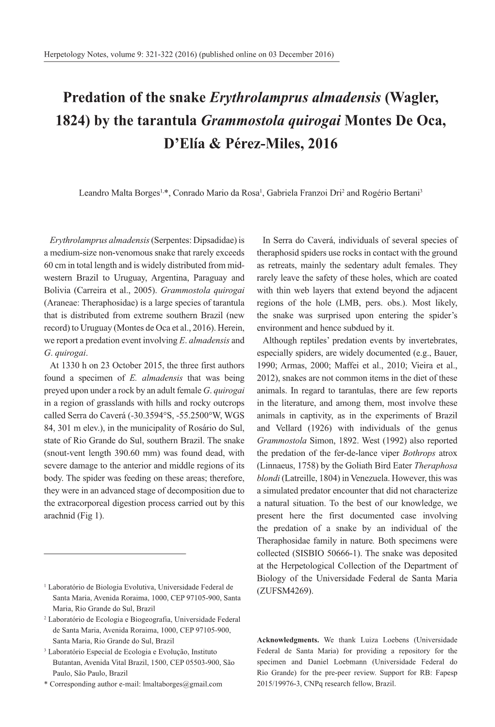 Predation of the Snake Erythrolamprus Almadensis (Wagler, 1824) by the Tarantula Grammostola Quirogai Montes De Oca, D’Elía & Pérez-Miles, 2016